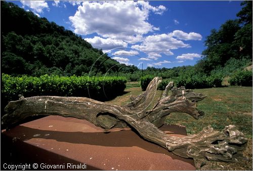 ITALY - CIVITELLA D'AGLIANO (VT) - Giardino delle sculture "La Serpara" di Paul Wiedmer & Jacqueline Dolder.
"Natura Morta" (????) Natur