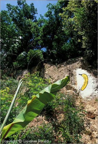 ITALY - CIVITELLA D'AGLIANO (VT) - Giardino delle sculture "La Serpara" di Paul Wiedmer & Jacqueline Dolder.
"Spraybanane" (2002) di Thomas Baumgartel