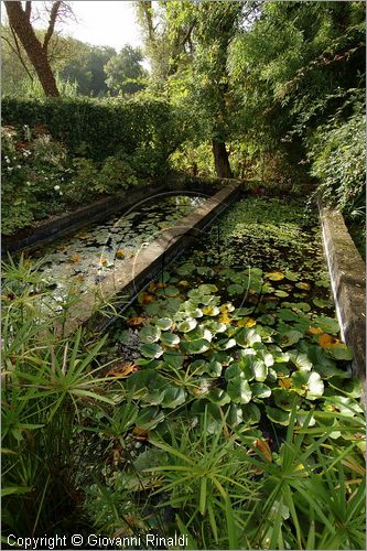 ITALY - MARTA (VT) - Giardino della Cannara - ricavato dai coniugi Mirella e Massimo Faggiani intorno alla loro casa, un'antica peschiera sul fiume Marta forse di origine etrusca.