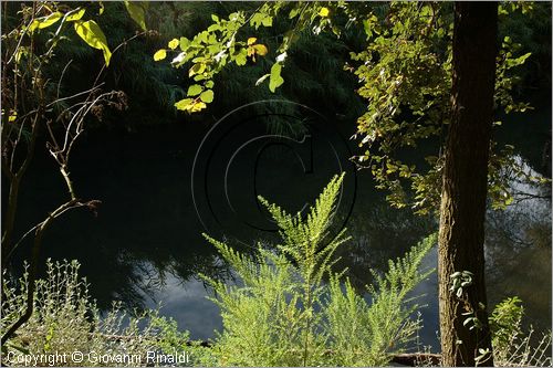 ITALY - MARTA (VT) - Giardino della Cannara - ricavato dai coniugi Mirella e Massimo Faggiani intorno alla loro casa, un'antica peschiera sul fiume Marta forse di origine etrusca.