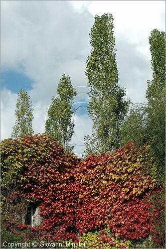 ITALY - MARTA (VT) - Giardino della Cannara - ricavato dai coniugi Mirella e Massimo Faggiani intorno alla loro casa, un'antica peschiera sul fiume Marta forse di origine etrusca.