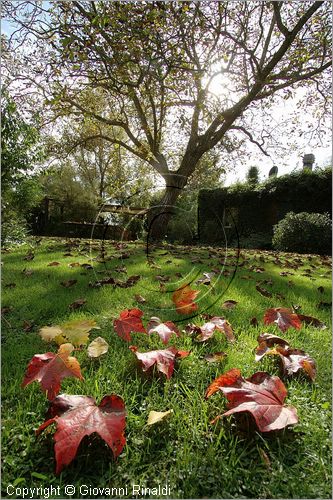 ITALY - MARTA (VT) - Giardino della Cannara - ricavato dai coniugi Mirella e Massimo Faggiani intorno alla loro casa, un'antica peschiera sul fiume Marta forse di origine etrusca.