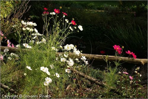 ITALY - MARTA (VT) - Giardino della Cannara - ricavato dai coniugi Mirella e Massimo Faggiani intorno alla loro casa, un'antica peschiera sul fiume Marta forse di origine etrusca.