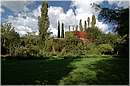 cannara_6996.jpg