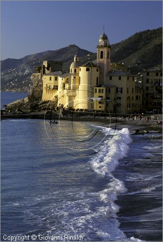 ITALY - LIGURIA - CAMOGLI (GE) - veduta della Basilica di Santa Maria Assunta