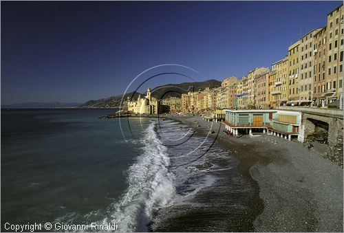 ITALY - LIGURIA - CAMOGLI (GE) - veduta della palazzata e della spiaggia - in fondo la Basilica di Santa Maria Assunta