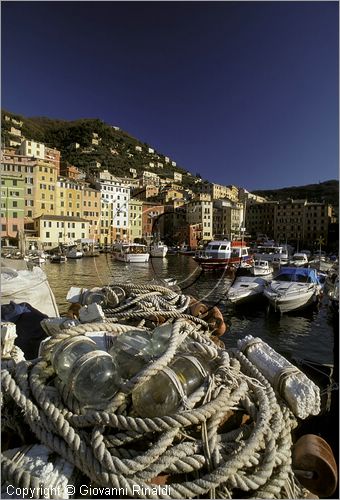 ITALY - LIGURIA - CAMOGLI (GE) - veduta del Porticciolo