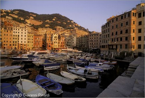 ITALY - LIGURIA - CAMOGLI (GE) - veduta del Porticciolo al tramonto