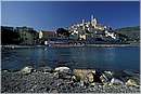 cervo_0001.jpg