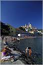 cervo_0003.jpg
