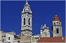 cervo_0008.jpg