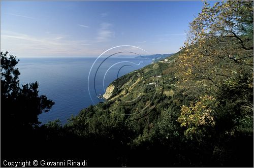 ITALY - LIGURIA - CINQUE TERRE (SP) - tratto di costa verso Punta del Mesco