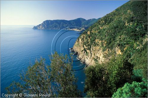 ITALY - LIGURIA - CINQUE TERRE (SP) - La costa verso Monterosso