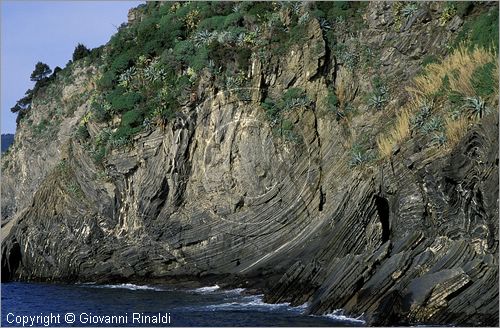 ITALY - LIGURIA - CINQUE TERRE (SP) - tipiche formazioni rocciose sulla costa