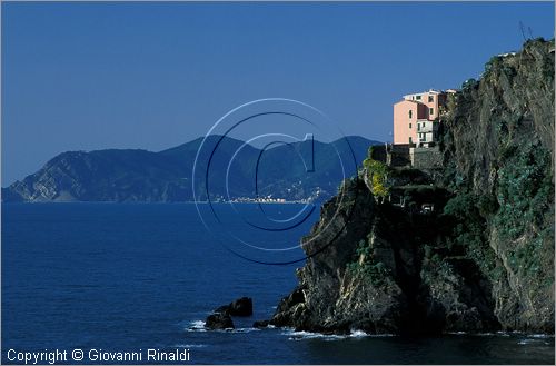 ITALY - LIGURIA - CINQUE TERRE (SP) - MANAROLA