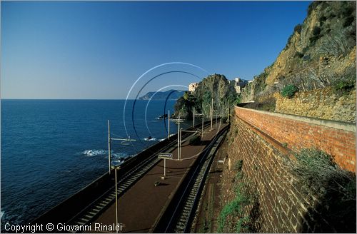 ITALY - LIGURIA - CINQUE TERRE (SP) - MANAROLA