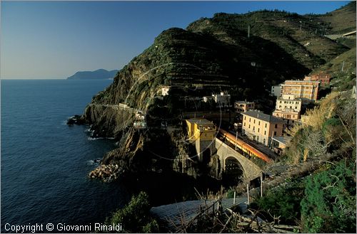 ITALY - LIGURIA - CINQUE TERRE (SP) - RIOMAGGIORE