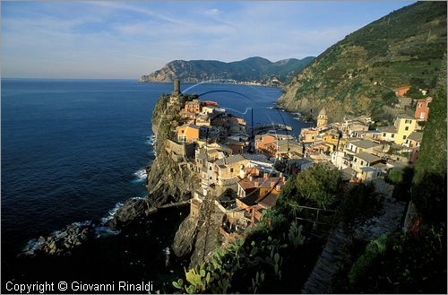 ITALY - LIGURIA - CINQUE TERRE (SP) - VERNAZZA