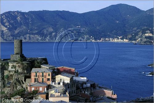 ITALY - LIGURIA - CINQUE TERRE (SP) - VERNAZZA