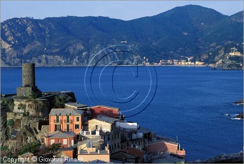 ITALY - LIGURIA - CINQUE TERRE (SP) - VERNAZZA