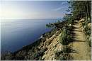 cinqueterre_0005.jpg