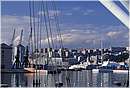 genova_0020.jpg