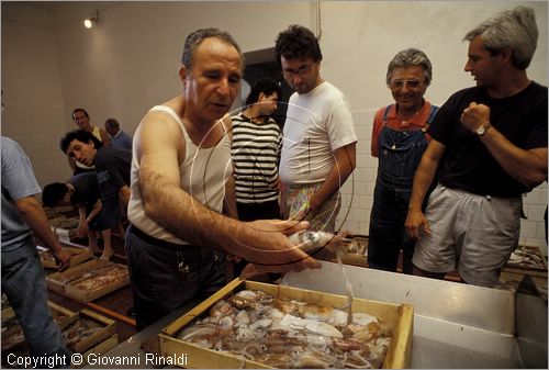 ITALY - LIGURIA - IMPERIA (ONEGLIA) - asta del pesce nella pescheria Aicardi