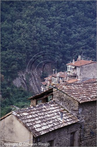 ITALY - LIGURIA - ISOLABONA (IM) - veduta del borgo