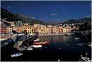nervi_0003.jpg