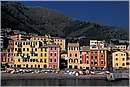 nervi_0004.jpg