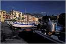 nervi_0007.jpg