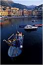 nervi_0011.jpg