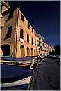 nervi_0015.jpg