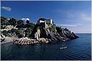 nervi_0017.jpg