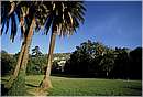 nervi_0023.jpg