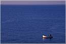 nervi_0025.jpg