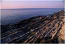 nervi_0026.jpg