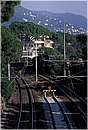 nervi_0031.jpg