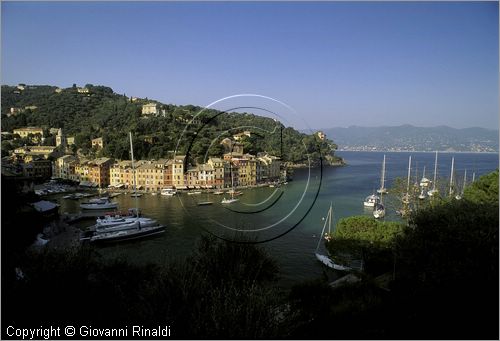 ITALY - LIGURIA - PORTOFINO (GE) - veduta del porto