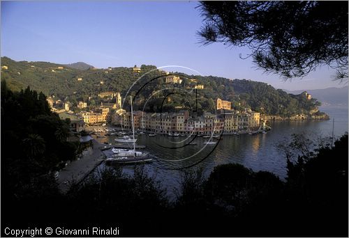 ITALY - LIGURIA - PORTOFINO (GE) - veduta del porto