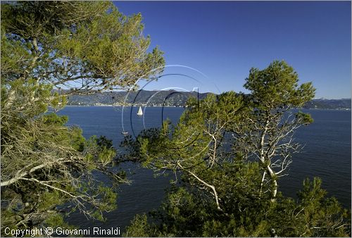 ITALY - LIGURIA - PORTOFINO (GE) - veduta panoramica del Golfo del Tigullio