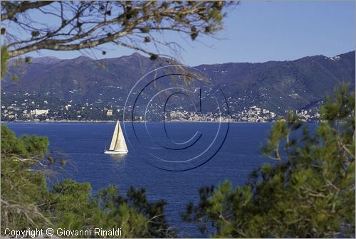 ITALY - LIGURIA - PORTOFINO (GE) - veduta panoramica del Golfo del Tigullio