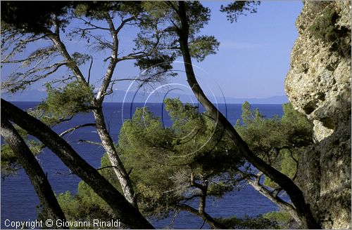 ITALY - LIGURIA - PORTOFINO (GE) - veduta panoramica del Golfo del Tigullio