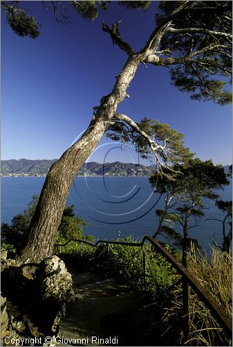 ITALY - LIGURIA - PORTOFINO (GE) - veduta panoramica del Golfo del Tigullio