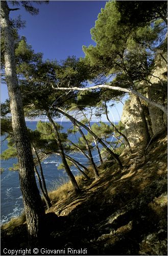ITALY - LIGURIA - PORTOFINO (GE) - il mare di fuori