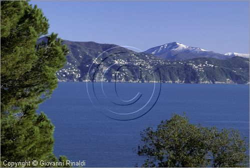 ITALY - LIGURIA - PORTOFINO (GE) - veduta panoramica del Golfo del Tigullio