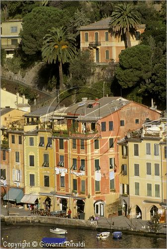 ITALY - LIGURIA - PORTOFINO (GE) - scorcio panoramico