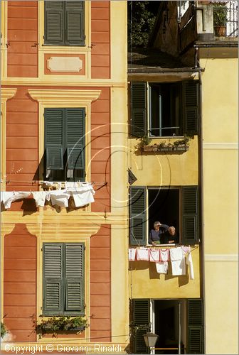 ITALY - LIGURIA - PORTOFINO (GE) - particolare della palazzata a mare