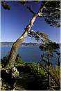 portofino_0009.jpg