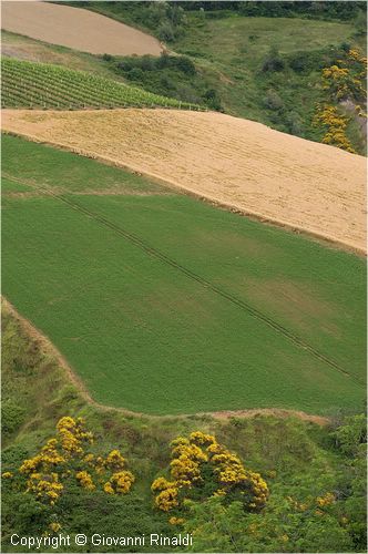 marche_9287.jpg